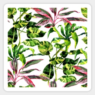 Watercolor tropical leaves and plants Sticker